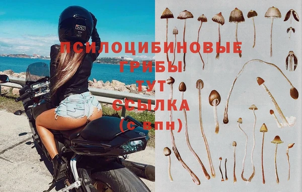 MDMA Дмитровск