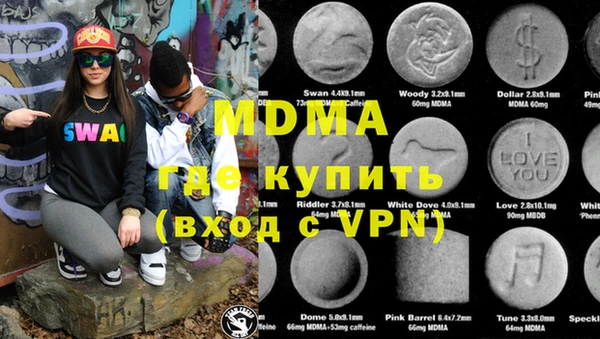 индика Дмитров