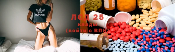 индика Дмитров