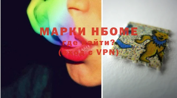 индика Дмитров