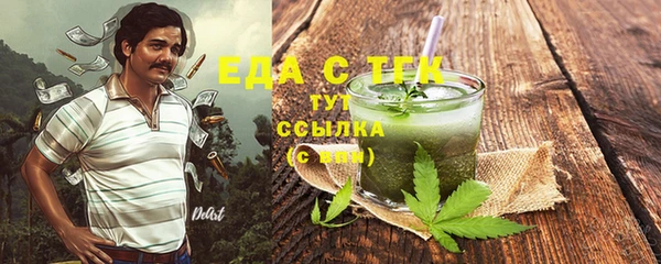 индика Дмитров