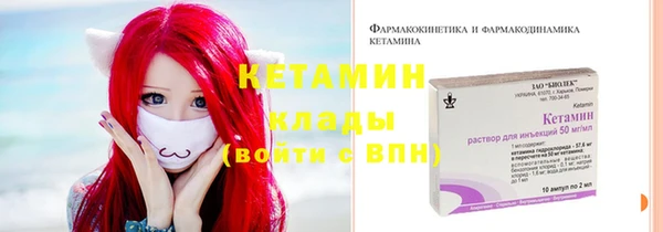 индика Дмитров