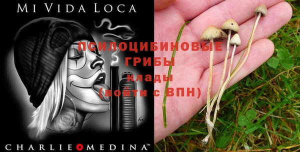 индика Дмитров