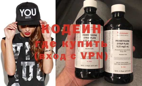индика Дмитров