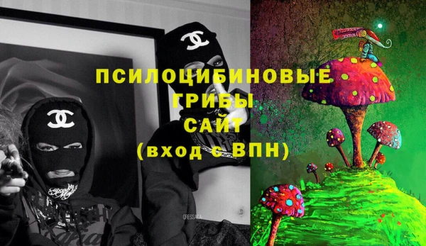 Альфа ПВП Дмитриев