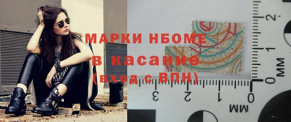 индика Дмитров