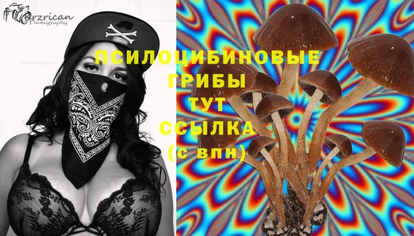 кристаллы Гусиноозёрск