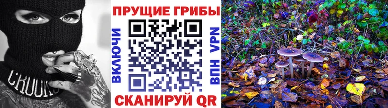 Галлюциногенные грибы GOLDEN TEACHER  Мурманск 